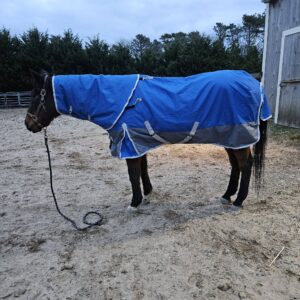 Vortexain Horse Turnout Blanket